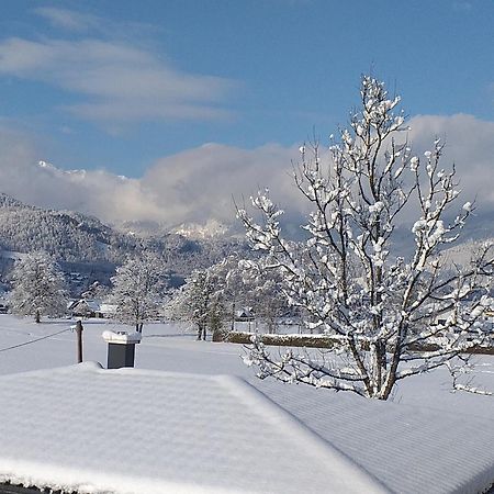 Apartmenthaus Hinterer Bad Goisern am Hallstättersee Exterior foto