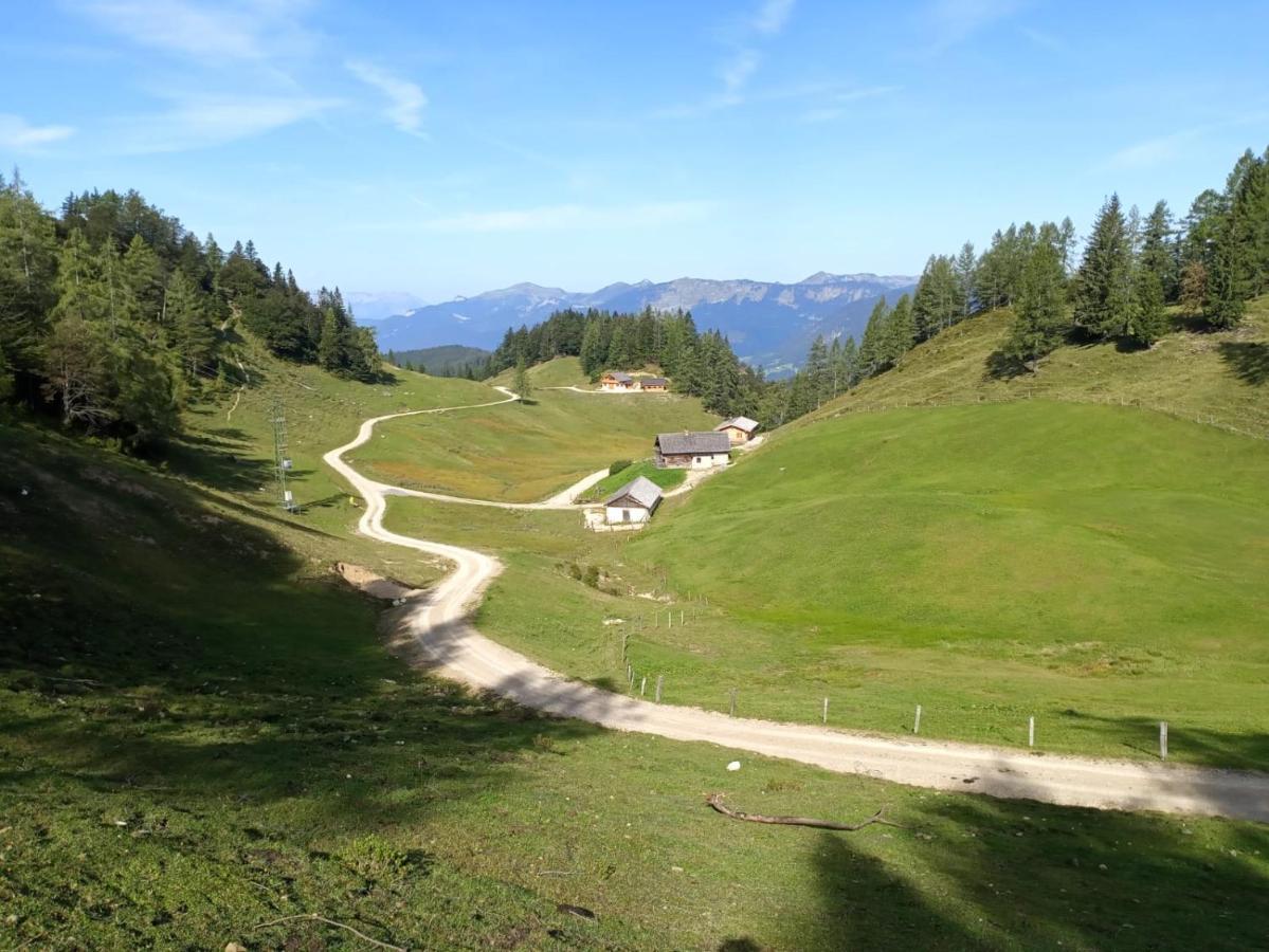 Apartmenthaus Hinterer Bad Goisern am Hallstättersee Exterior foto