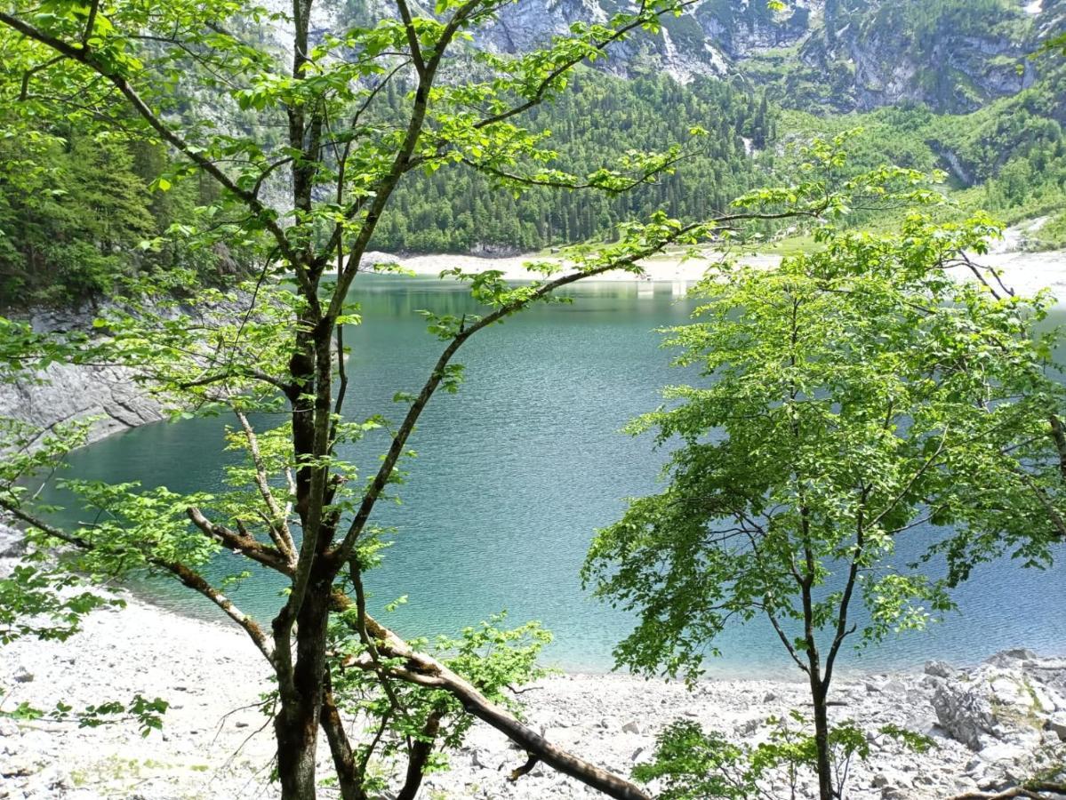 Apartmenthaus Hinterer Bad Goisern am Hallstättersee Exterior foto