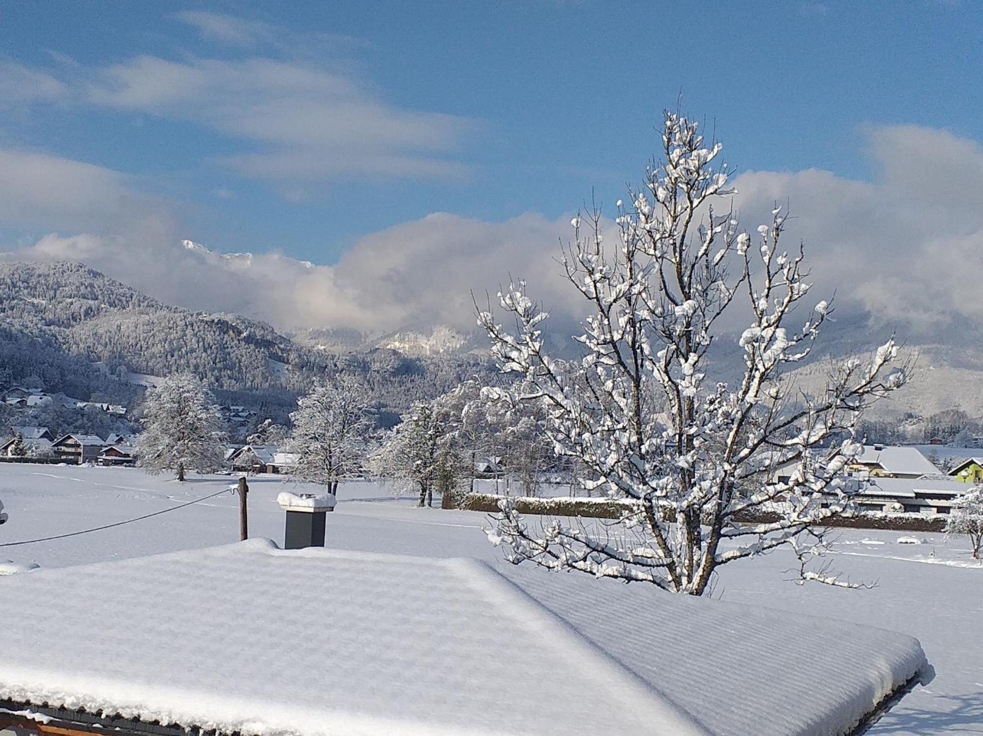 Apartmenthaus Hinterer Bad Goisern am Hallstättersee Exterior foto